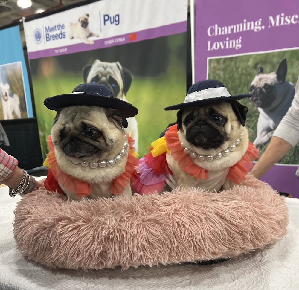 The Gossip Column: January 31, 2025